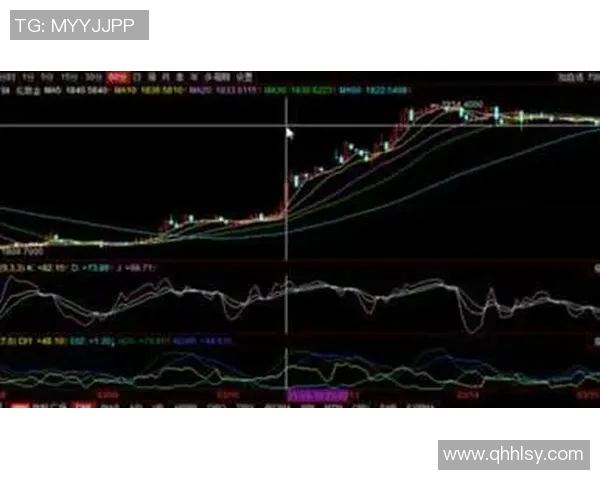 西安羽毛球队防守策略分析与比赛表现的得失总结